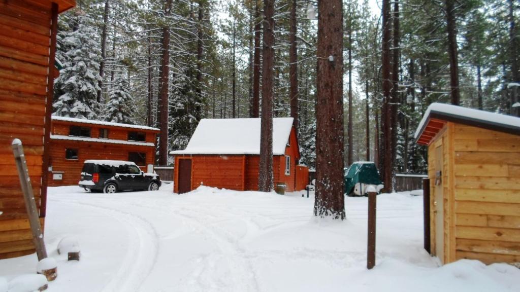 Cedar Pines Resort South Lake Tahoe Exterior photo